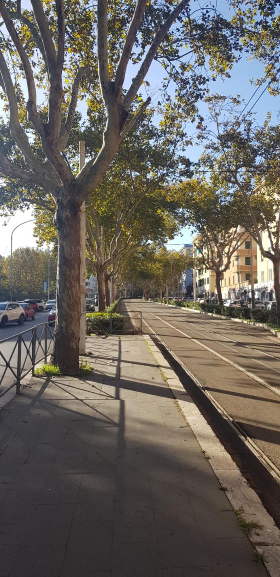 Trastevere Residenze Rom Eksteriør billede